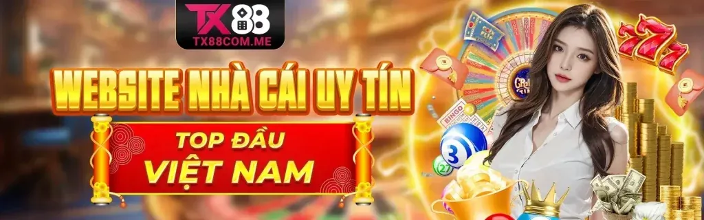 Hình ảnh người dùng quản lý cài đặt cookie
